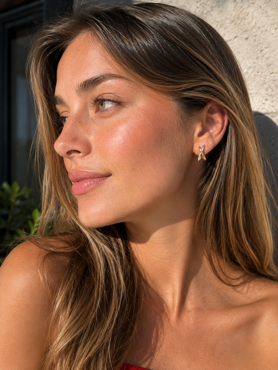 Aurielle Two Tone Earrings