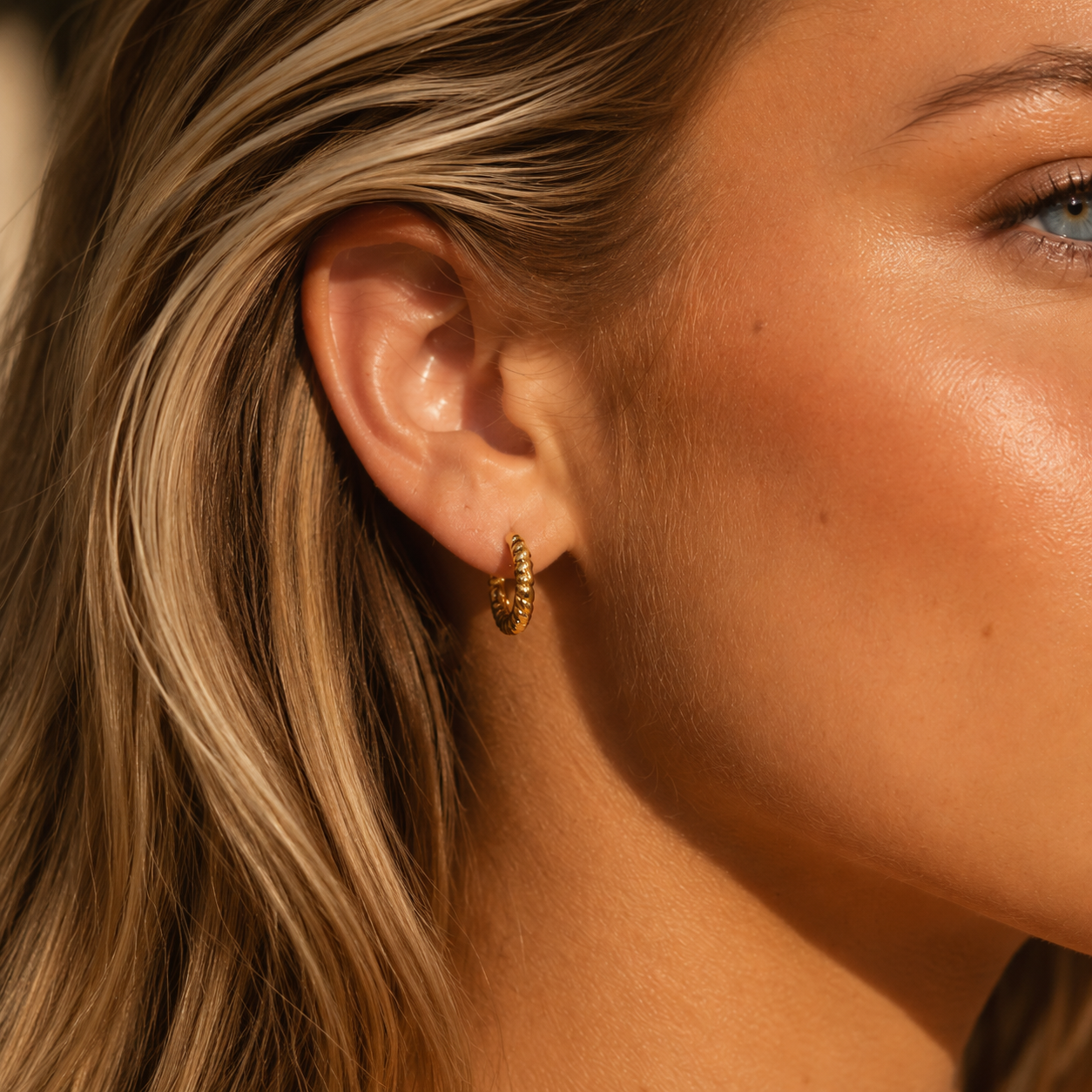 Aerial Twist Hoops