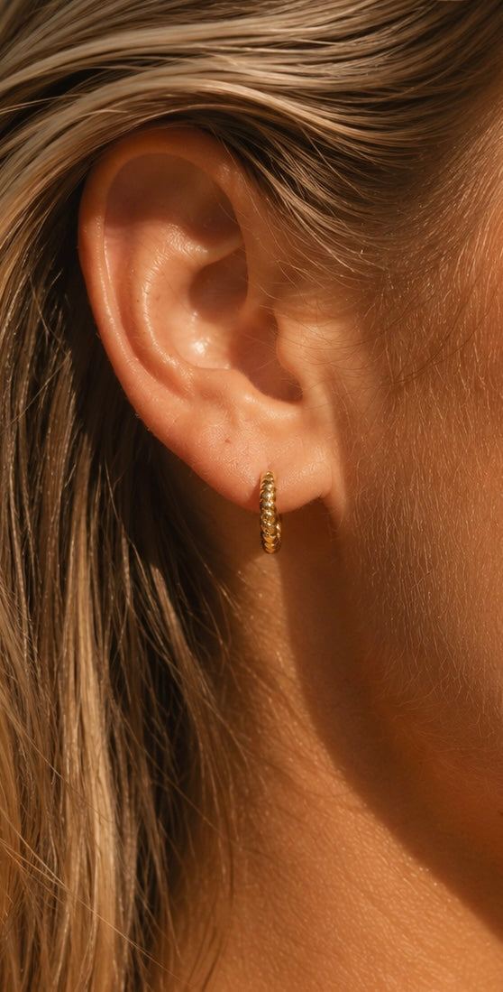 Aerial Twist Hoops
