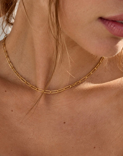Rilley Paperclip Chain - JUST LANDED